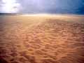 Die Sahara